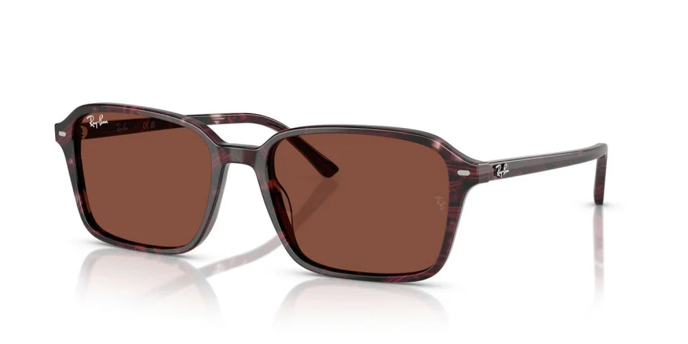 RAY-BAN SUNGLASSES RAIMOND - RB2231 1416C5 56