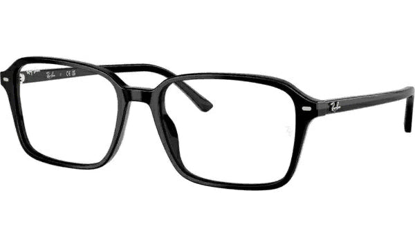 RAY-BAN SUNGLASSES RAIMOND - RB2231F 901/GG 56