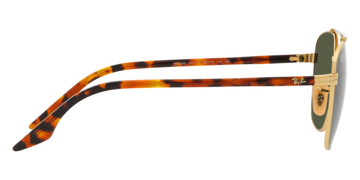 RAY-BAN SUNGLASSES - RB3688 001/31 55 - Arista