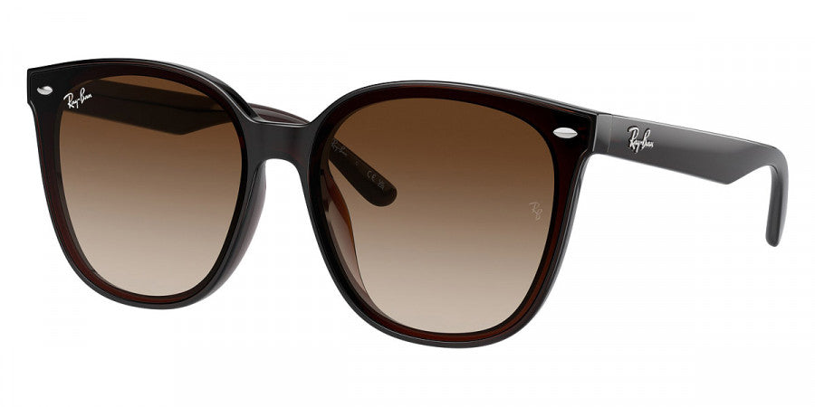 RAY-BAN SUNGLASSES - RB4423D Transparent Brown