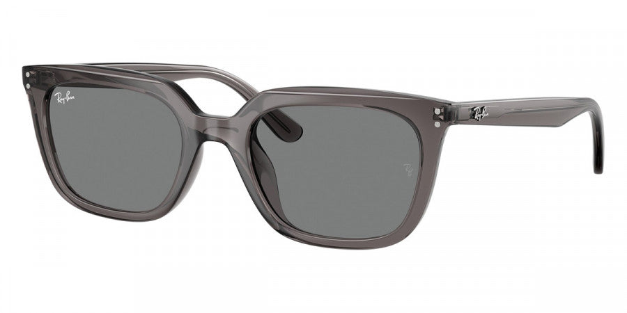 RAY-BAN SUNGLASSES - RB4439D 667587 54 - Transparent Gray