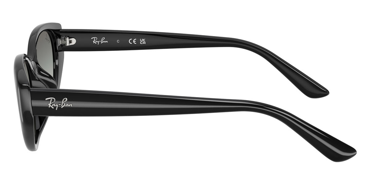 RAY-BAN SUNGLASSES - RB4457D 667711 55 - Black