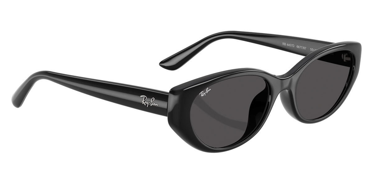 RAY-BAN SUNGLASSES - RB4457D 667787 55 - Black