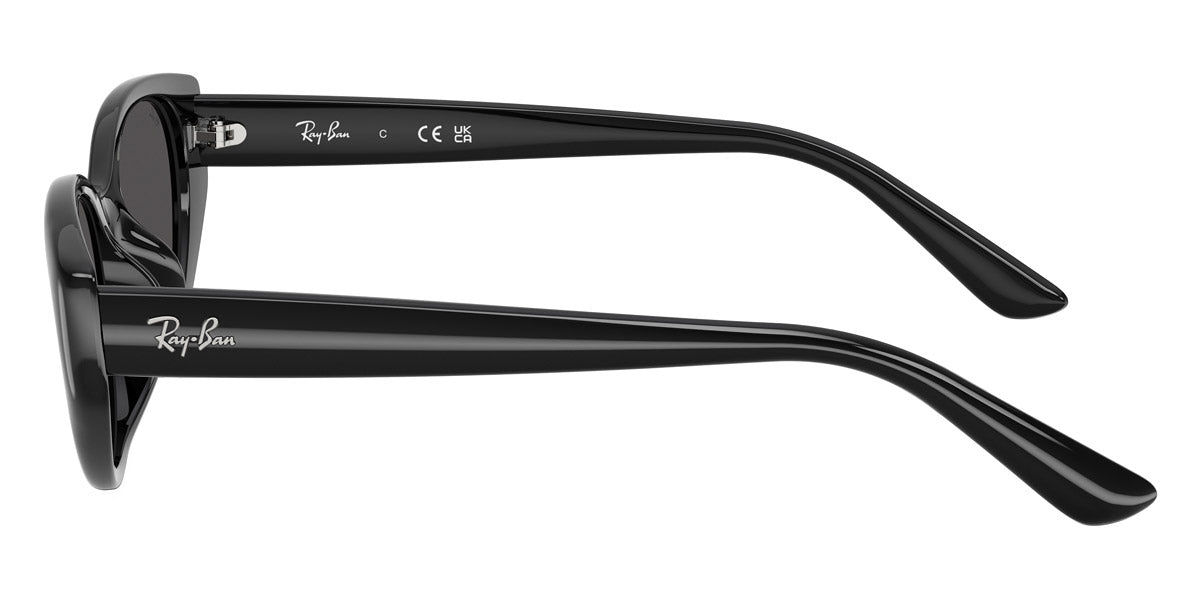 RAY-BAN SUNGLASSES - RB4457D 667787 55 - Black