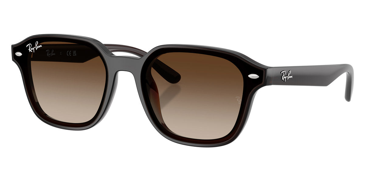 RAY-BAN SUNGLASSES - RB4458D 714/13 65 - Transparent Dark Brown