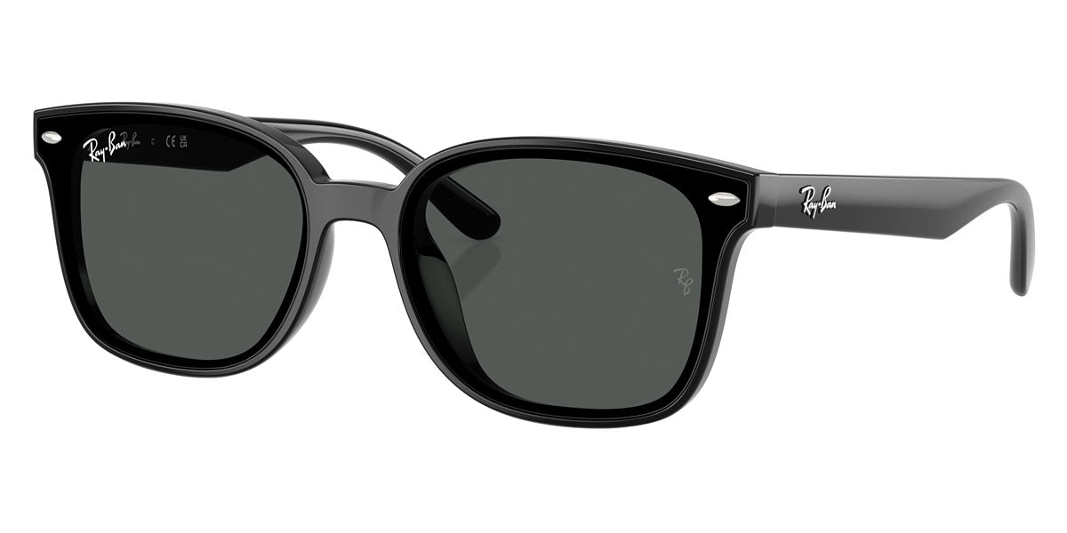 RAY-BAN SUNGLASSES - RB4461D 601/87 64 - Black