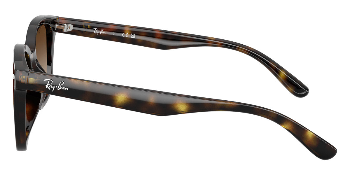 RAY-BAN SUNGLASSES - RB4461D 710/13 64 - Havana