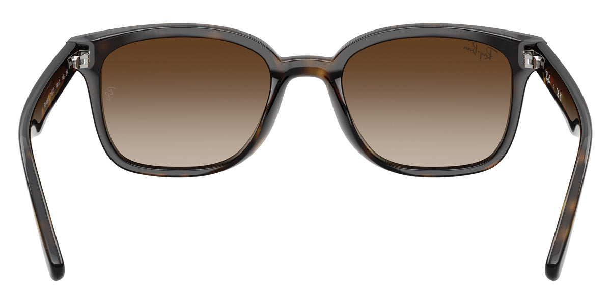 RAY-BAN SUNGLASSES - RB4461D 710/13 64 - Havana