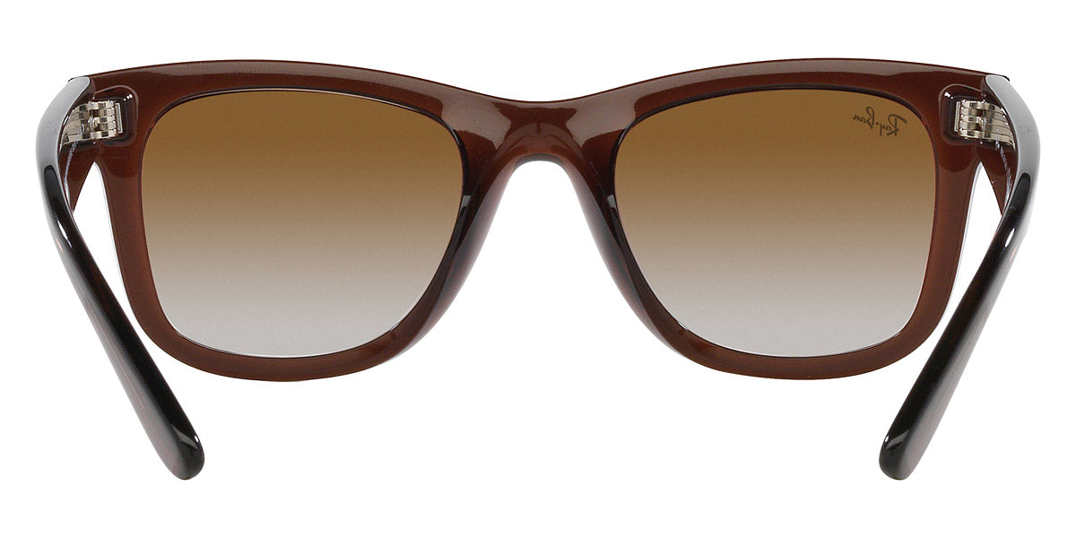 RAY-BAN SUNGLASSES WAYFARER REVERSE - RBR0502S Transparent Brown