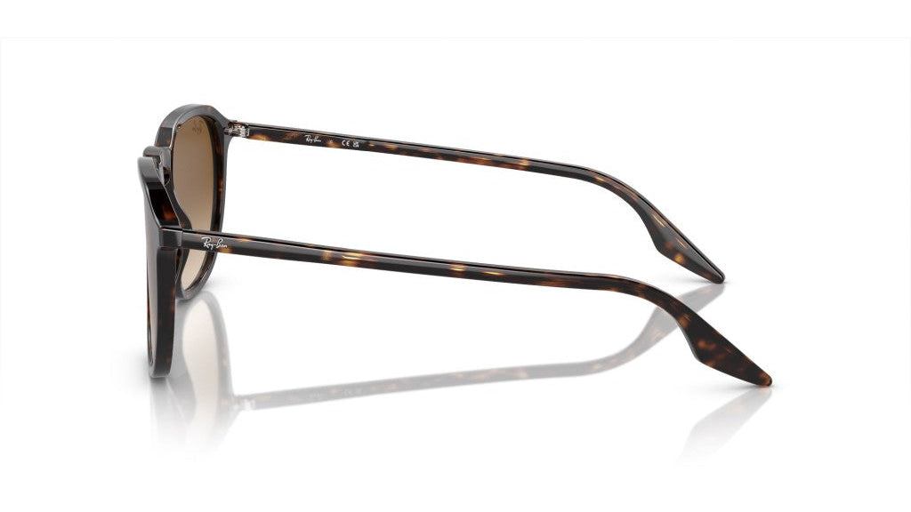 RAYBAN SUNGLASSES - RB2203 902/51 55 - Havana