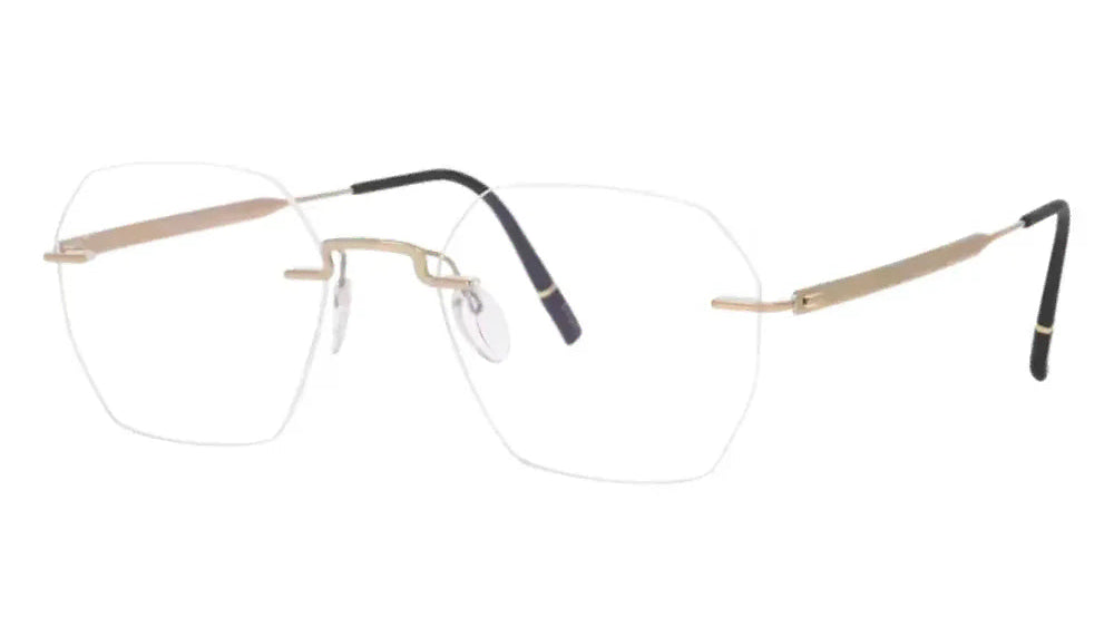 SILHOUETTE EYEGLASSES - 5586 7530 17-40