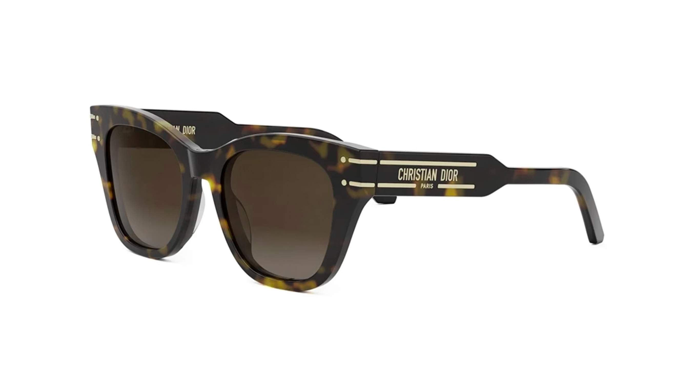 DIOR SUNGLASSES - DIORSIGNATURE B4I 20F1 52