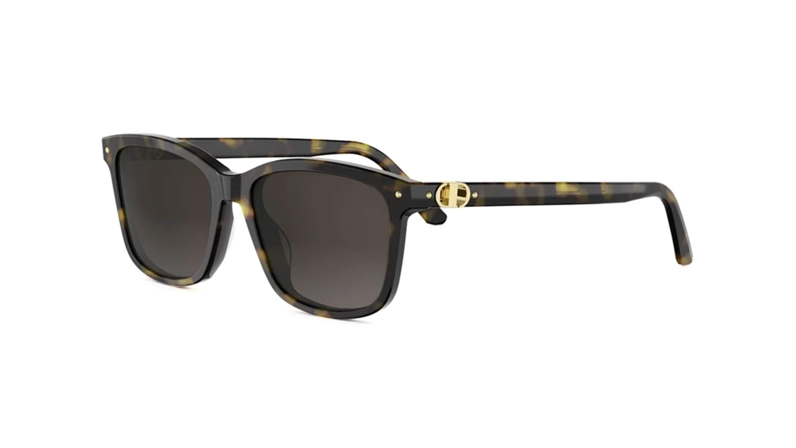 DIOR SUNGLASSES - PETIT CD S2I 20F1 53