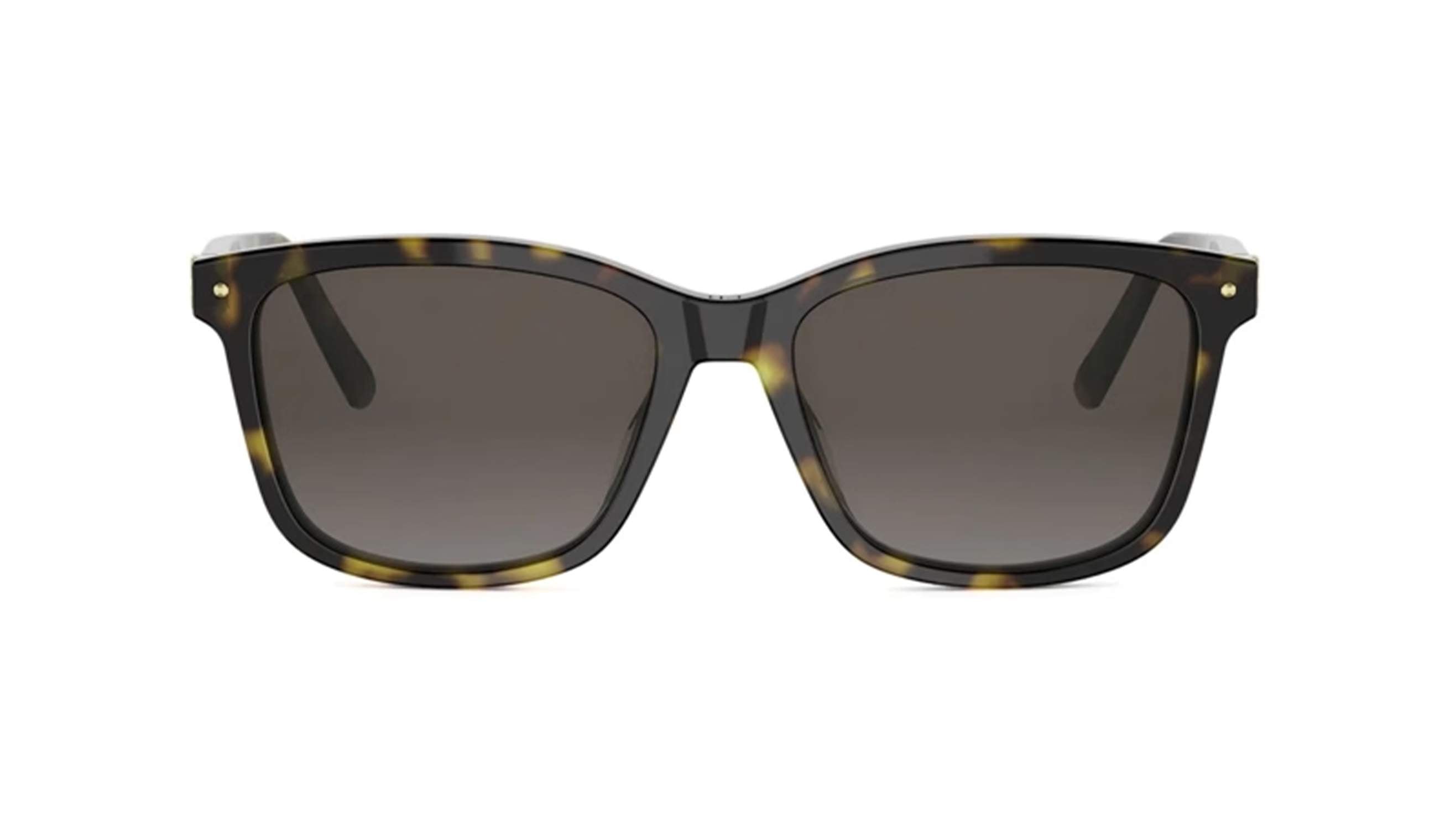 DIOR SUNGLASSES - PETIT CD S2I 20F1 53