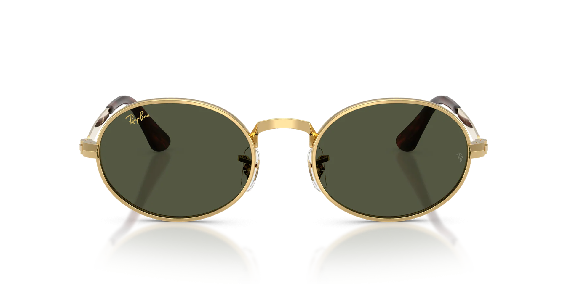 RAYBAN SUNGLASSES - RB3931 001/31 54