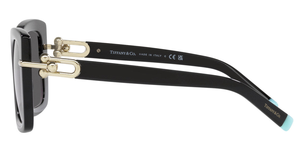 TIFFANY SUNGLASSES - TF4199 8001S4 53 - Black