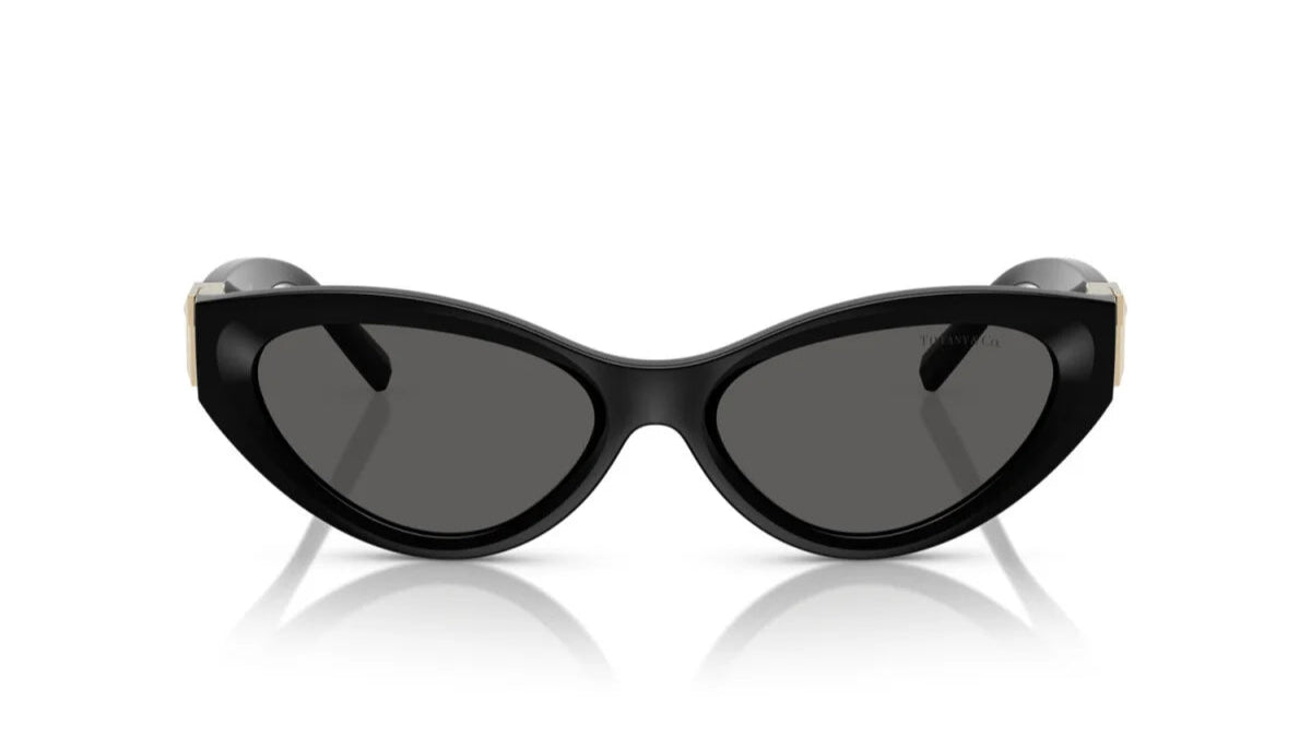 TIFFANY SUNGLASSES - TF4225U 8001S4 54