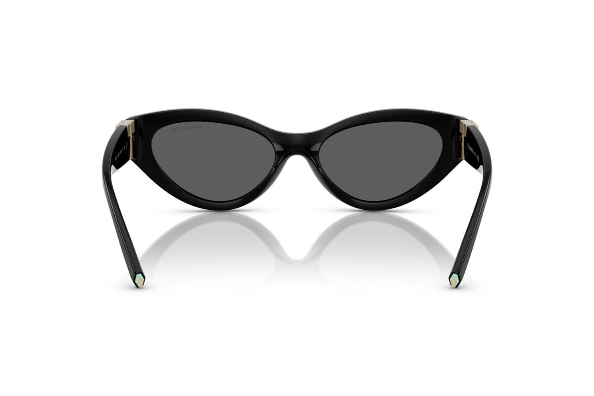 TIFFANY SUNGLASSES - TF4225U 8001S4 54