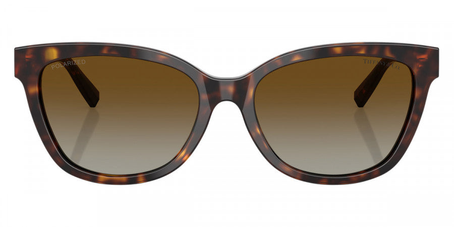 TIFFANY SUNGLASSES - TF4237B 8015T5 55 - Havana