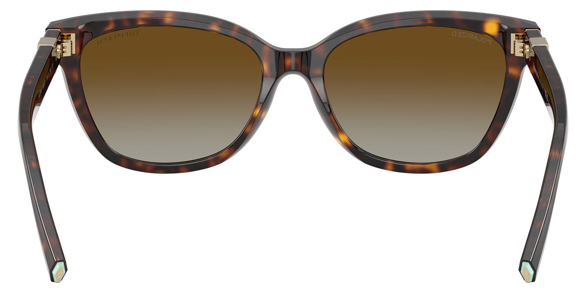 TIFFANY SUNGLASSES - TF4237B 8015T5 55 - Havana