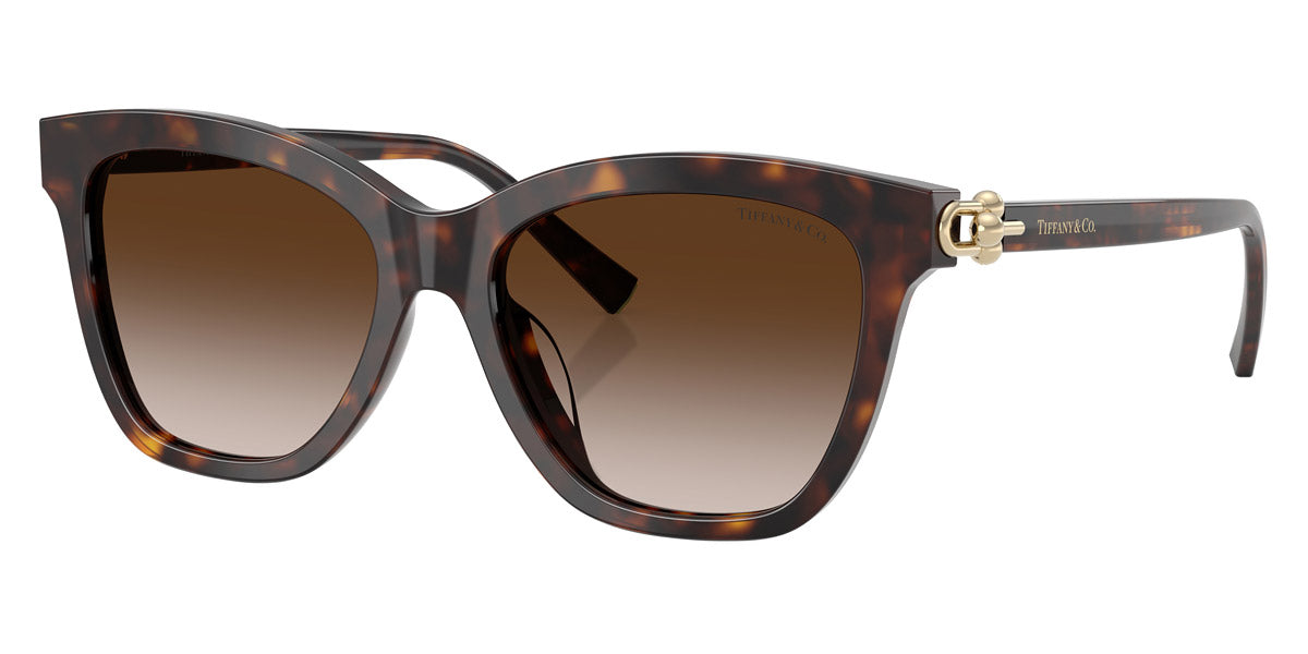 TIFFANY SUNGLASSES - TF4241D 80153B 54 - Havana