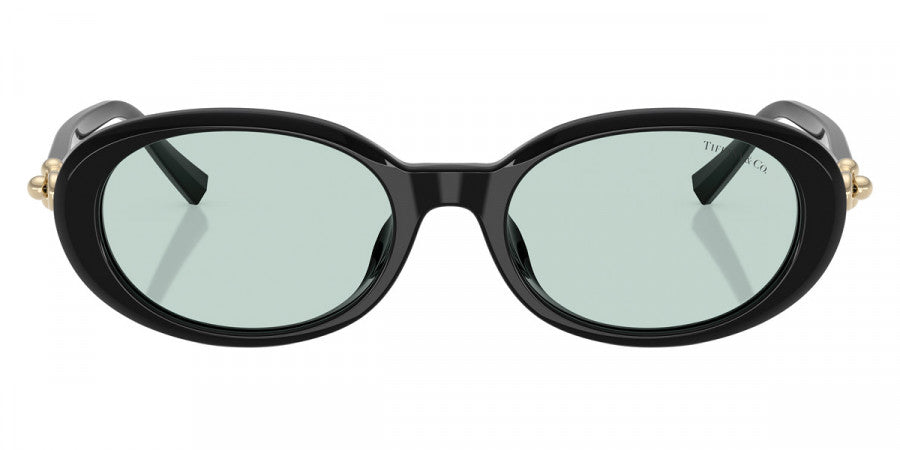 TIFFANY SUNGLASSES - TF4242D 8001D9 54 - Black