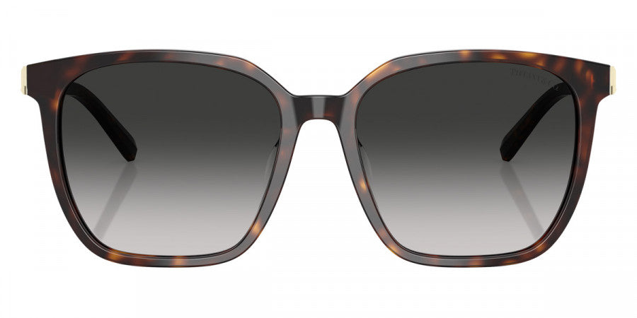 TIFFANY SUNGLASSES - TF4244D 80153C 56 - Havana/Pale Gold