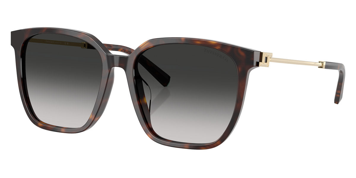 TIFFANY SUNGLASSES - TF4244D 80153C 56 - Havana/Pale Gold