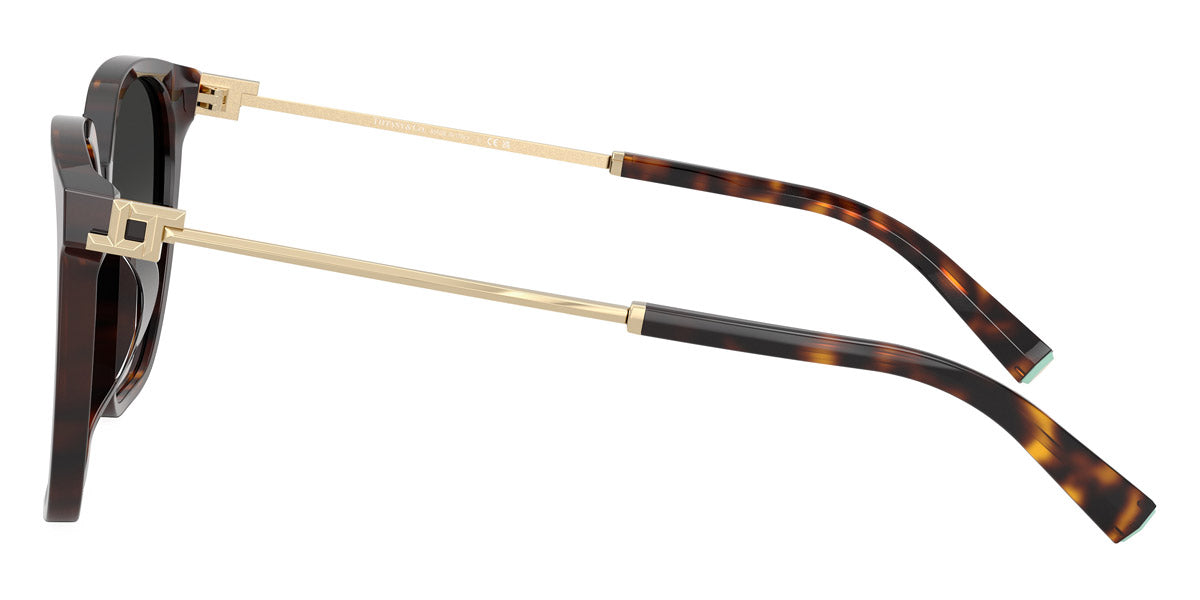 TIFFANY SUNGLASSES - TF4244D 80153C 56 - Havana/Pale Gold