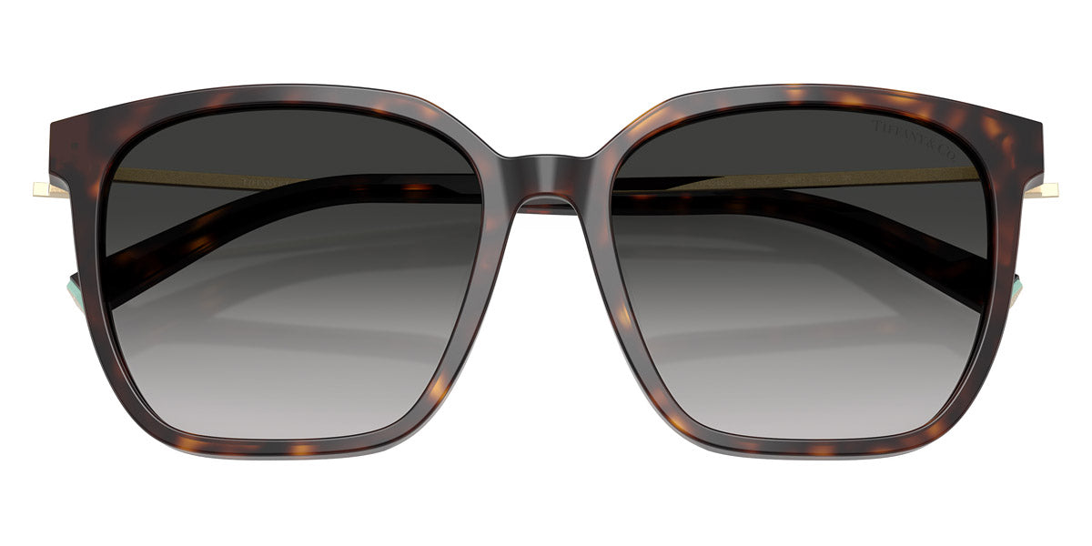 TIFFANY SUNGLASSES - TF4244D 80153C 56 - Havana/Pale Gold
