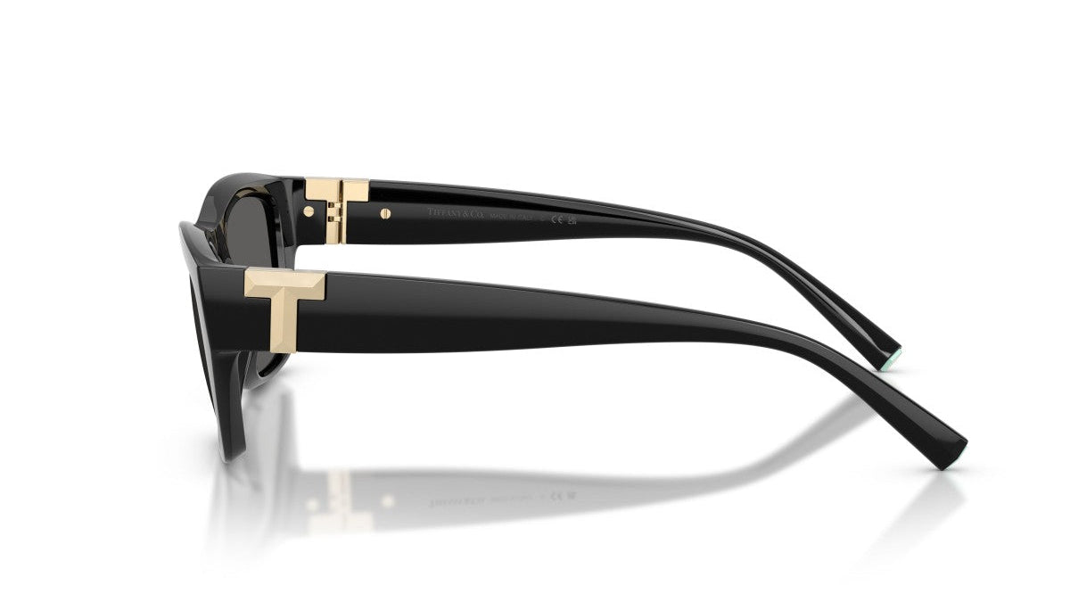 TIFFANY SUNGLASSES - TF4255U 8001S4 56