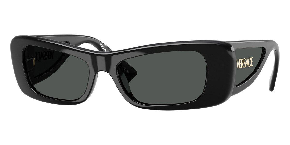 VERSACE SUNGLASSES LENS - VE4481 GB1/87 54 - Black