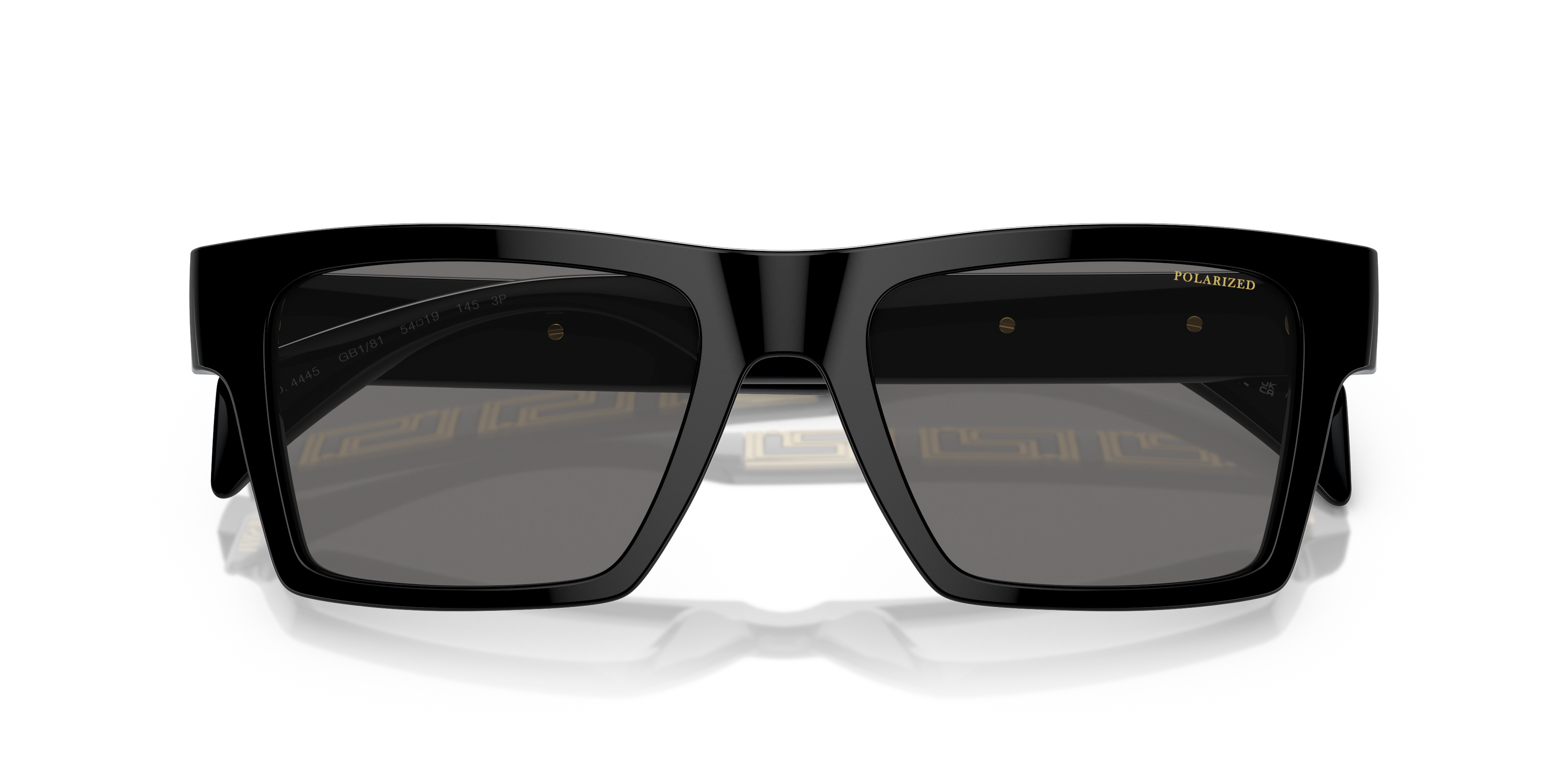 VERSACE SUNGLASSES - VE4445 GB1/81 54