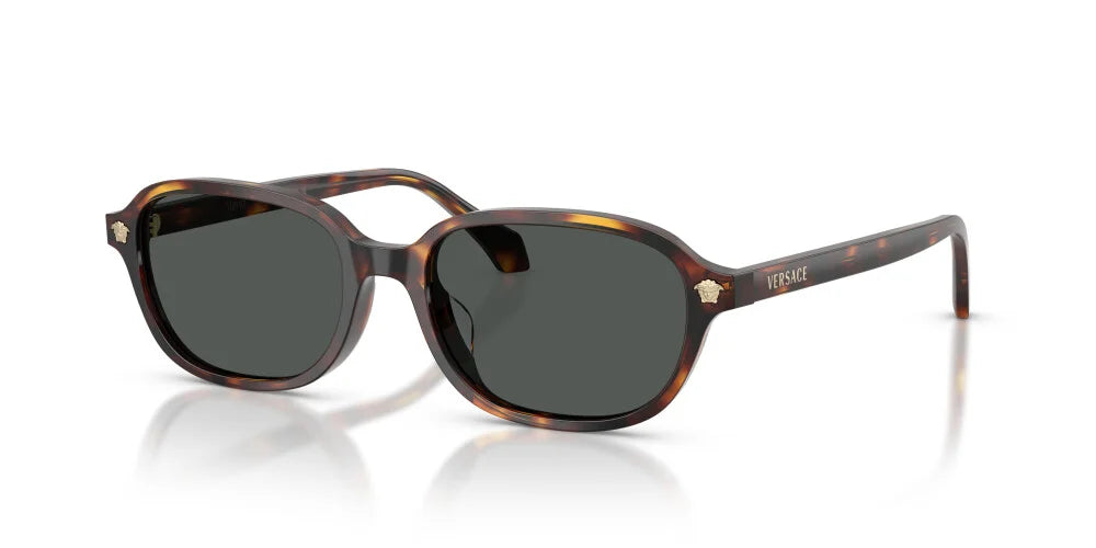 VERSACE SUNGLASSES - VE4514D 553773 53